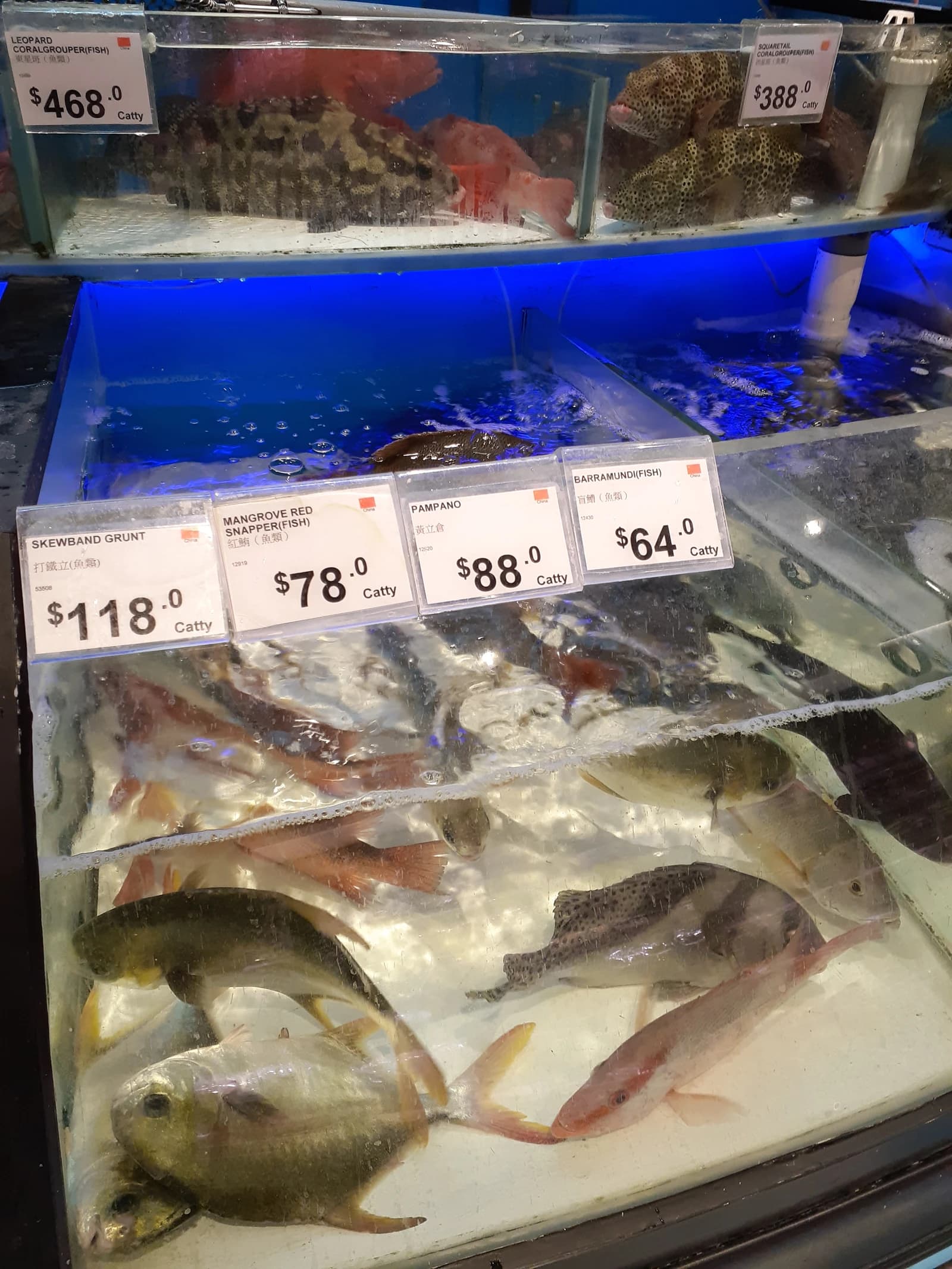Live fish in display tanks with price tags in a Hong Kong supermarket.