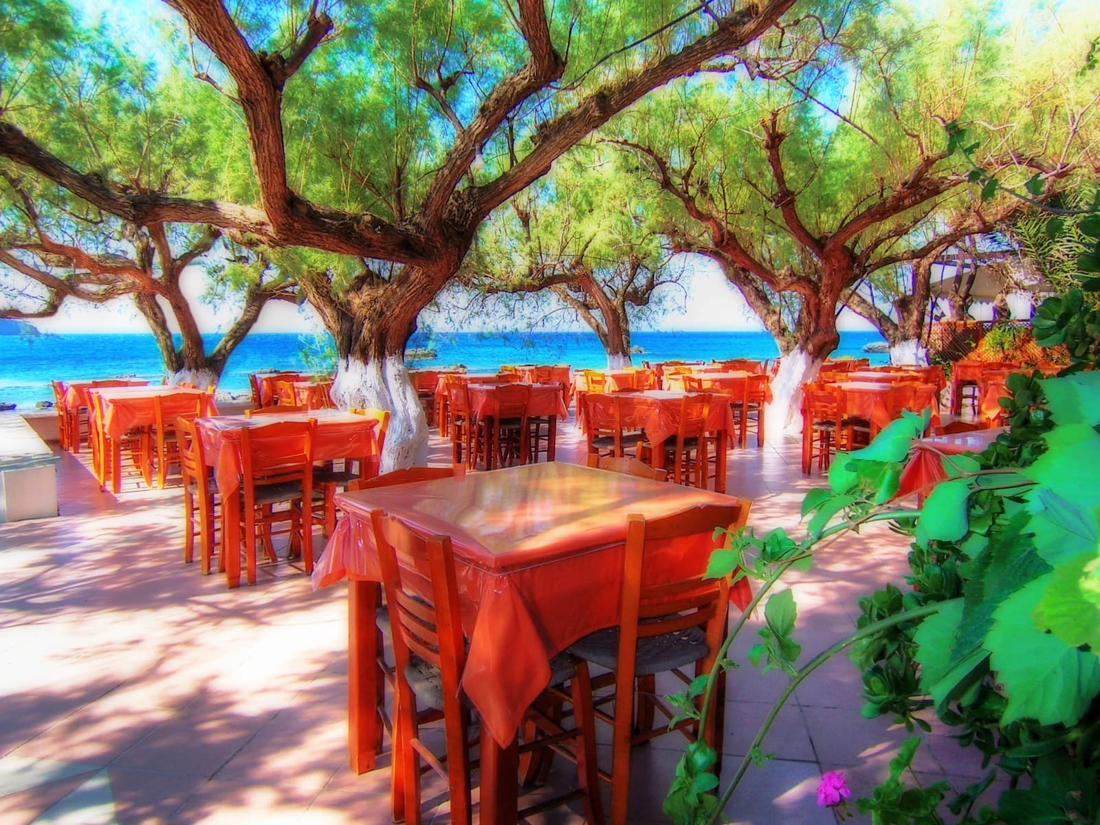 Outdoor restaurant tables and chairs under trees by the sea in Plakias, Crete.
