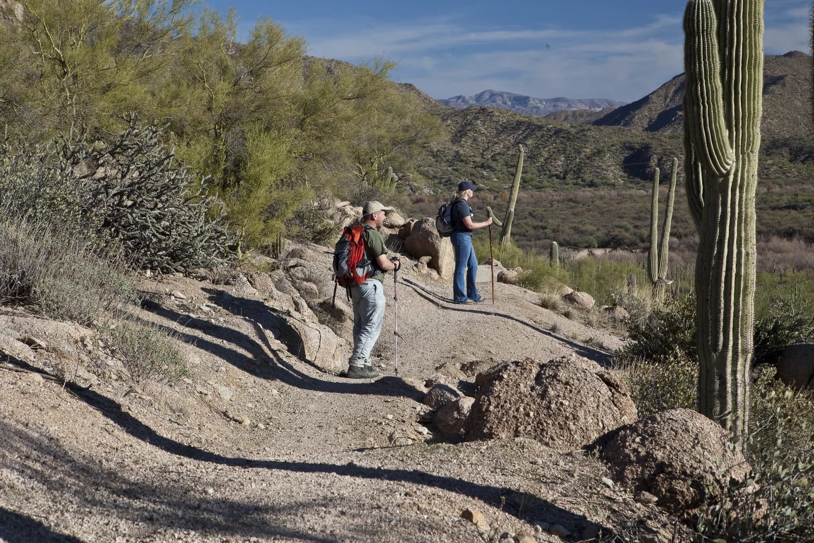 Two people hiking with poles on a desert trail in Arizona.
