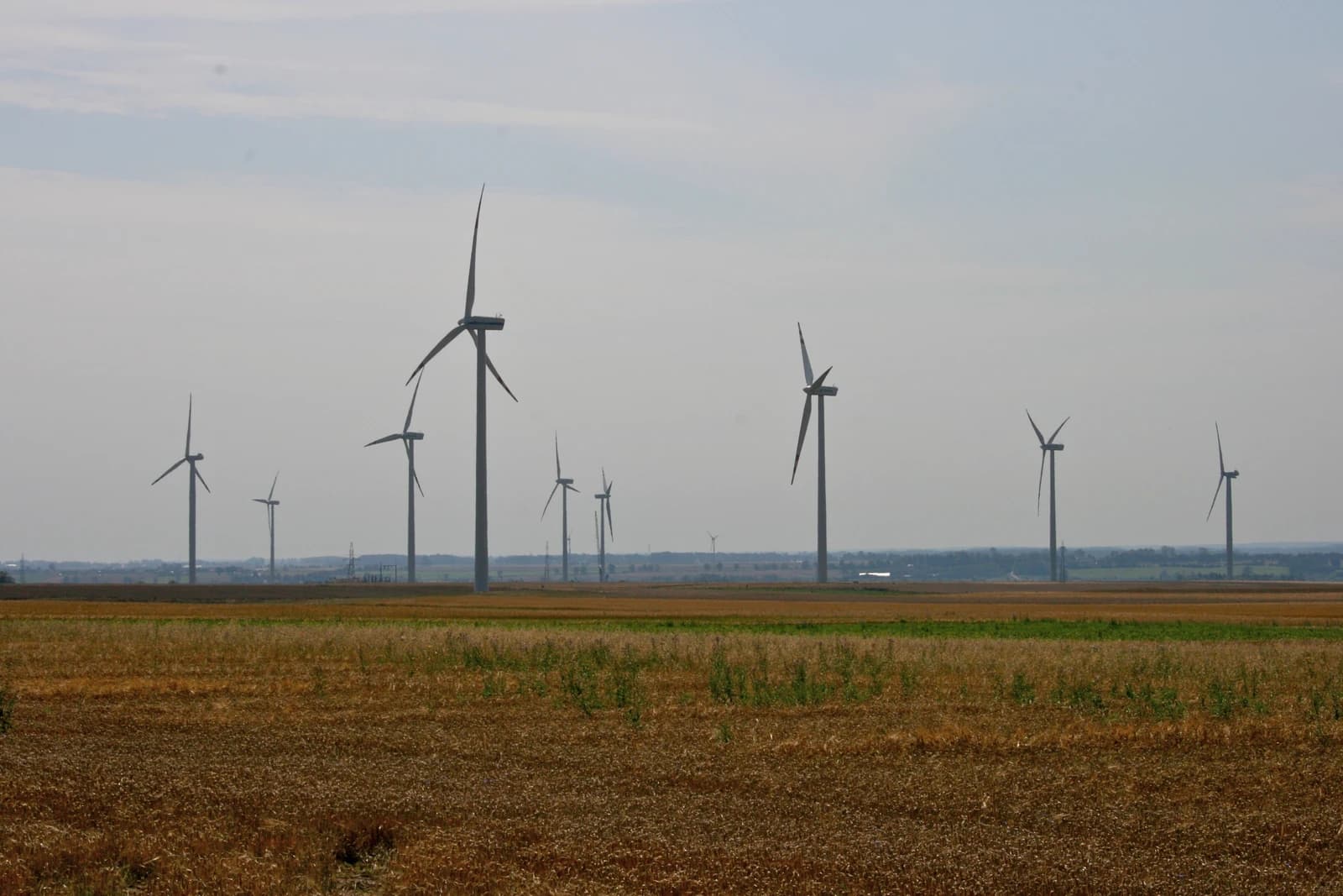 Wind turbines in a field near Lisewo, Poland.
