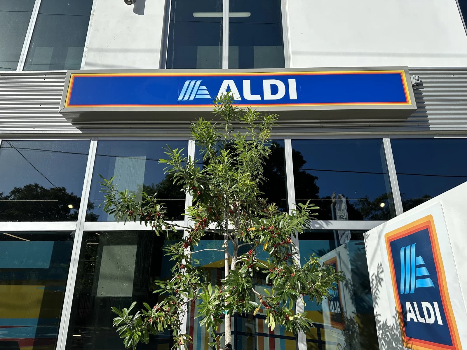 Exterior of an Aldi grocery store with its prominent blue and white sign.