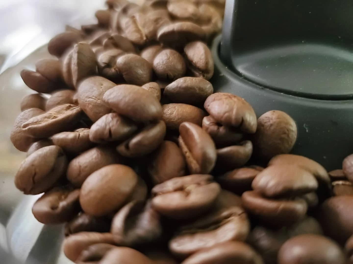 Roasted whole coffee beans filling a container, with some appearing in focus.