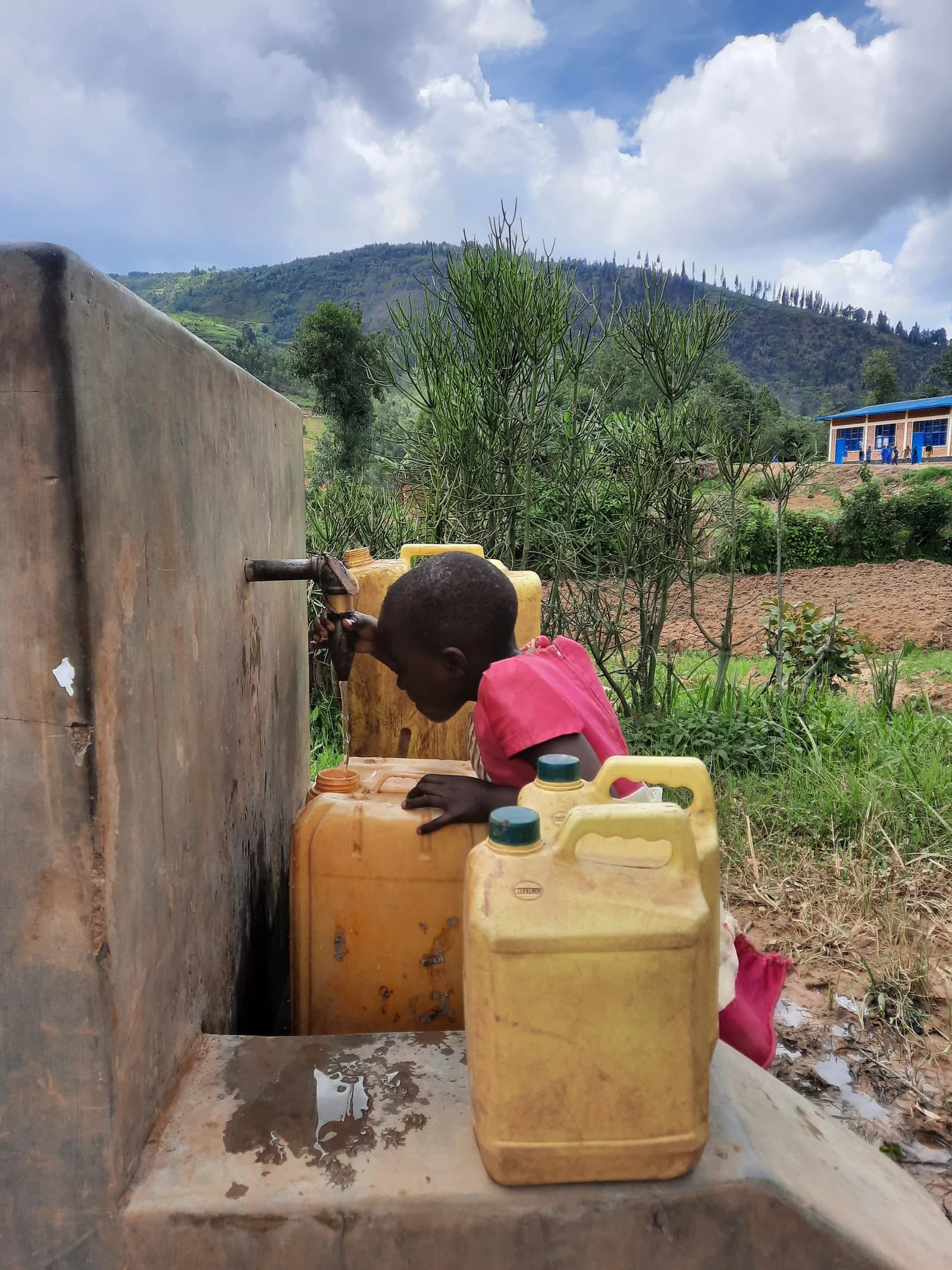 Young child in a red shirt collecting water from a tap, filling yellow jerrycans.