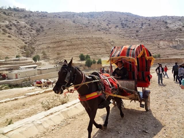 A horse pulling a red and black striped carriage with a person riding near the Petra Visitors Center.