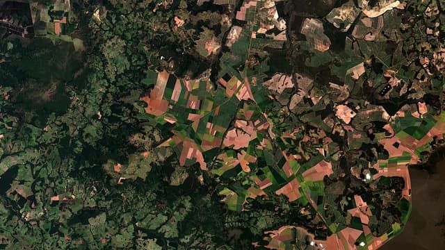 Satellite image showing a patchwork of green fields and brown earth in a rural area.