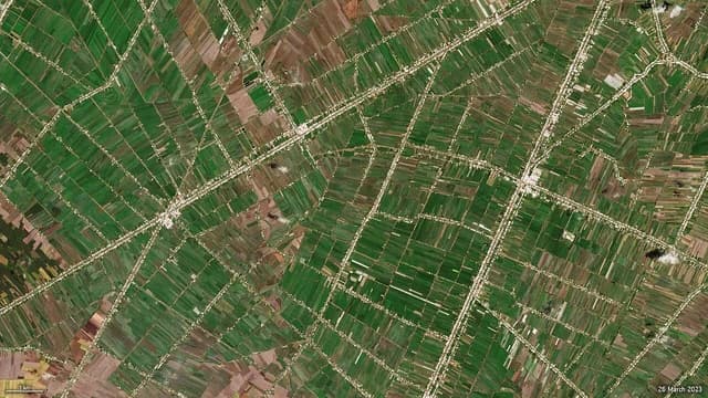 Satellite image shows geometric patterns of green rice fields and brown fallow land in Mekong Delta.