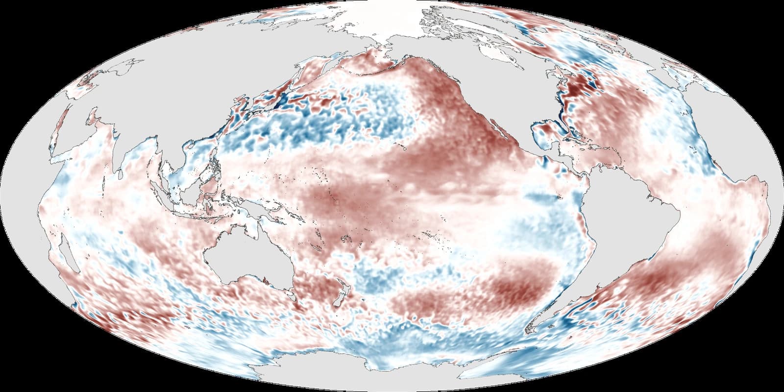 Global map of sea surface temperature anomalies, highlighting El Niño conditions in the Pacific.