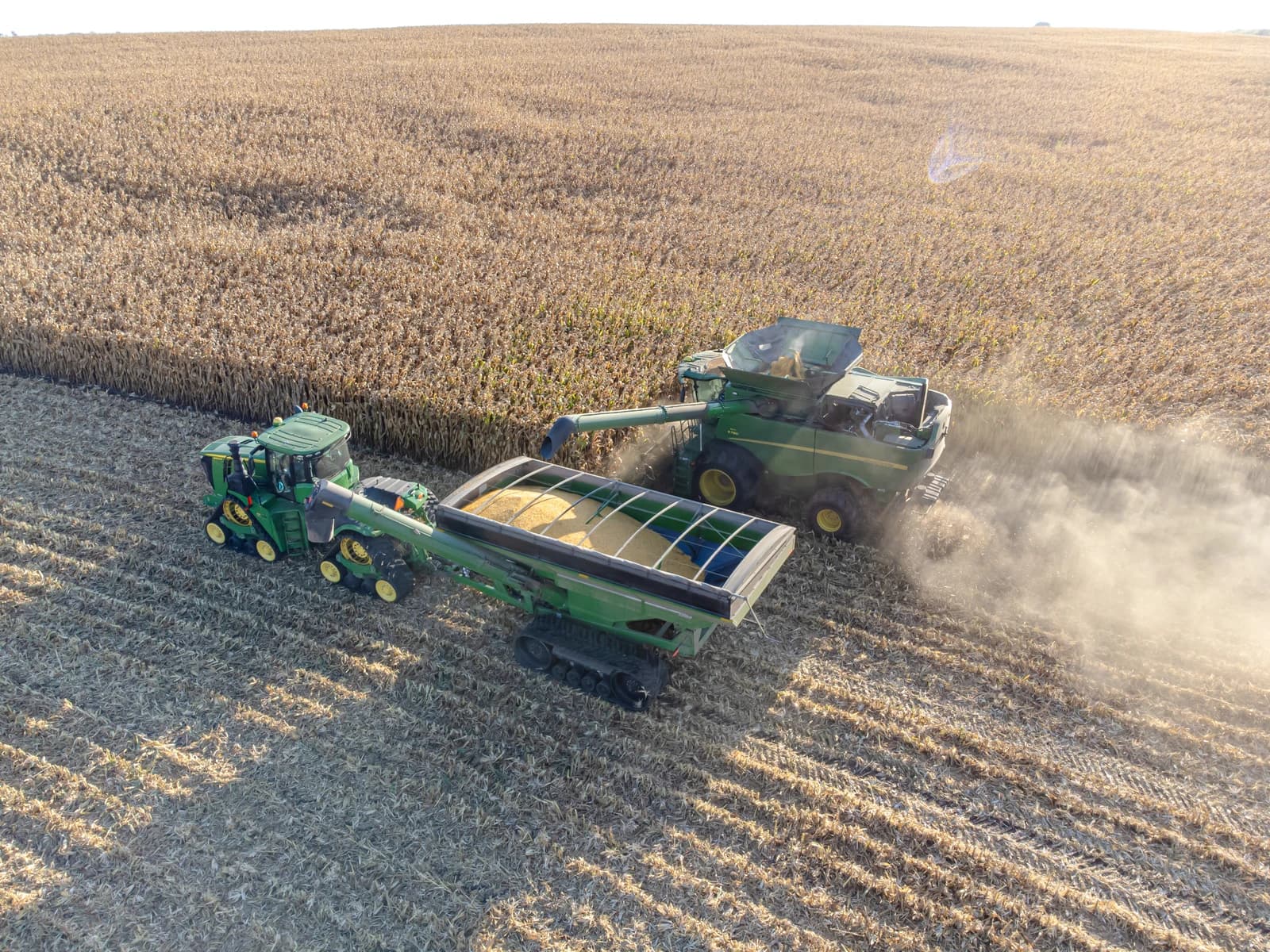 A combine harvester collecting corn and offloading it into a grain cart.