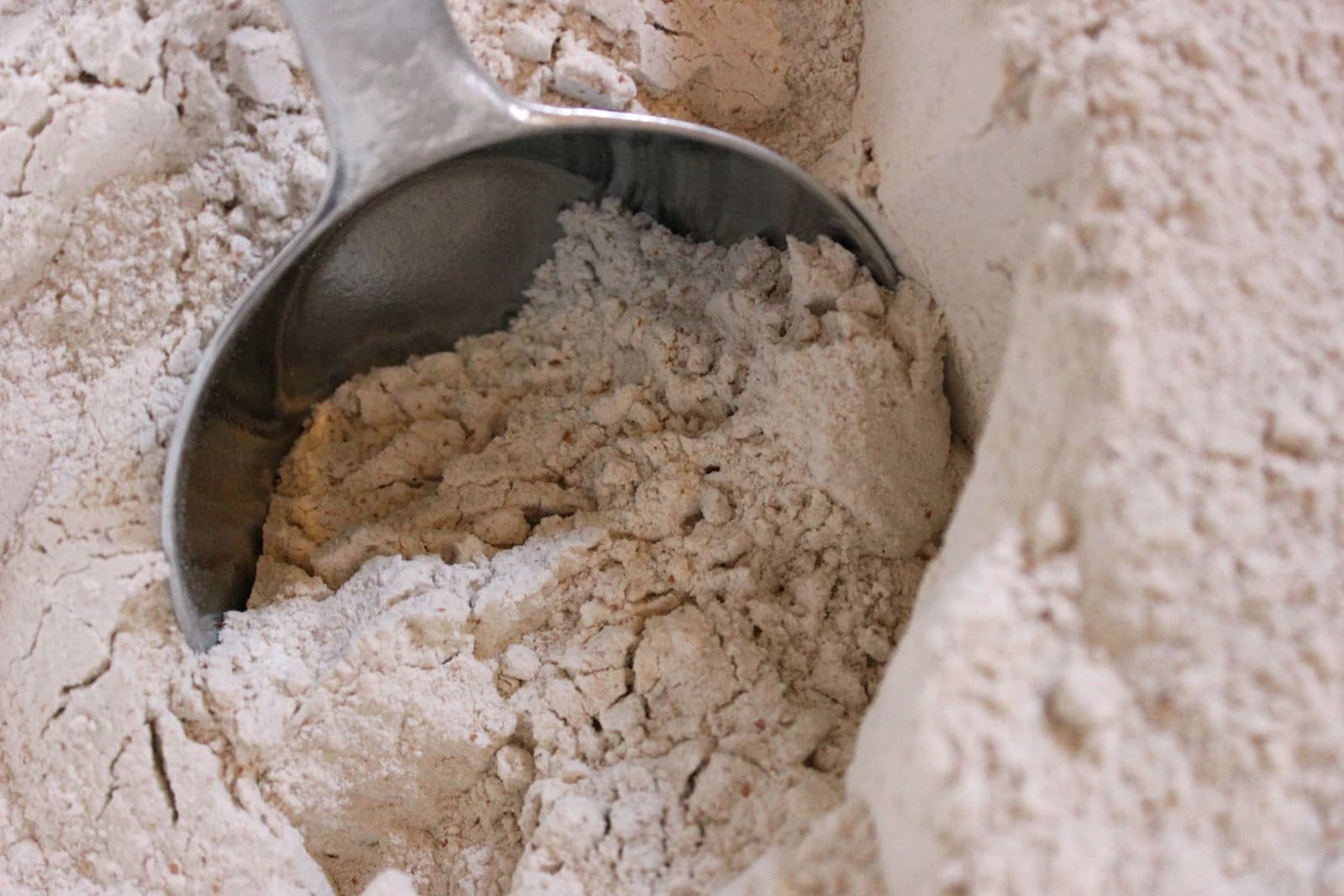 A metal scooper rests in a large pile of light brown whole wheat flour.