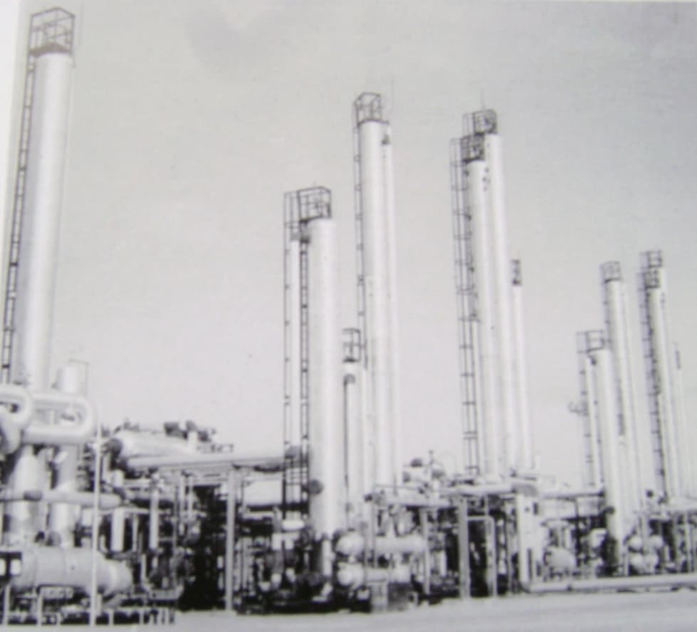 An industrial absorption plant with many tall vertical towers and interconnected pipes.