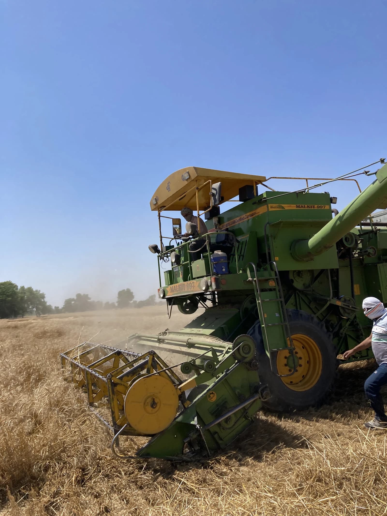 A combine harvester operates in a field of golden wheat, with a person standing nearby.