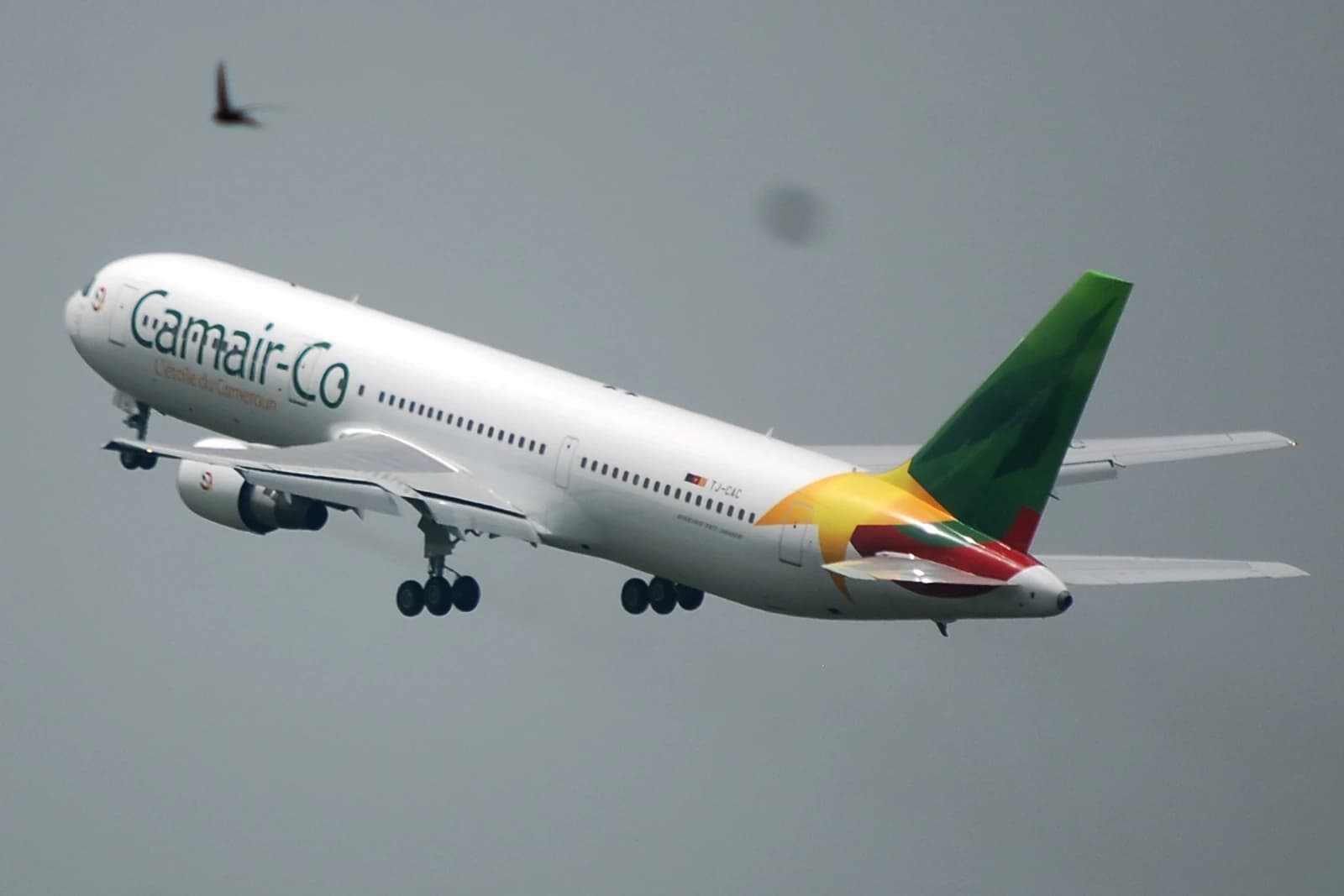 Camair-Co aircraft, registered TJ-CAC, in flight with landing gear down.