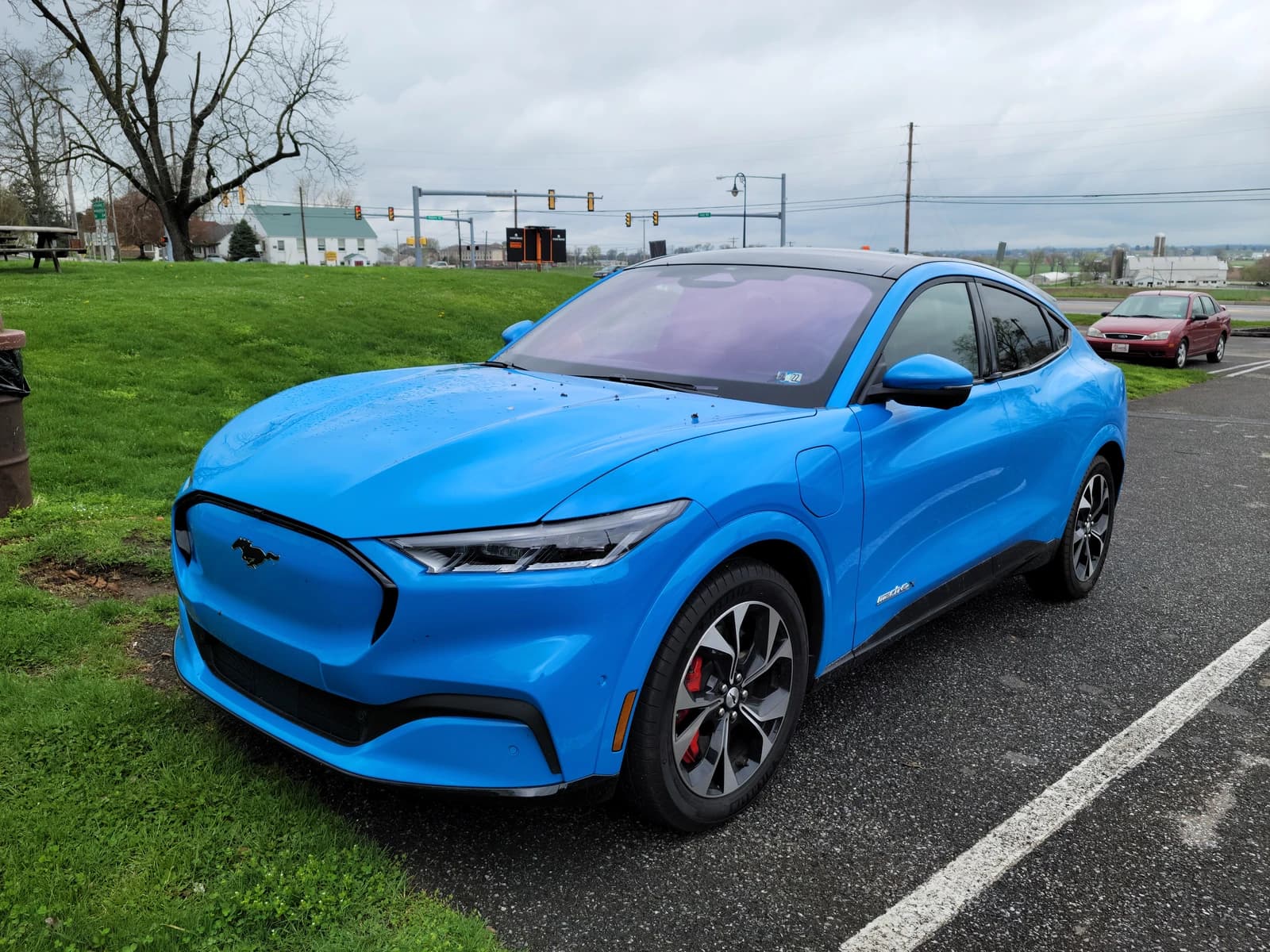 Blue Ford Mustang Mach-E SUV parked on asphalt next to a grassy area.