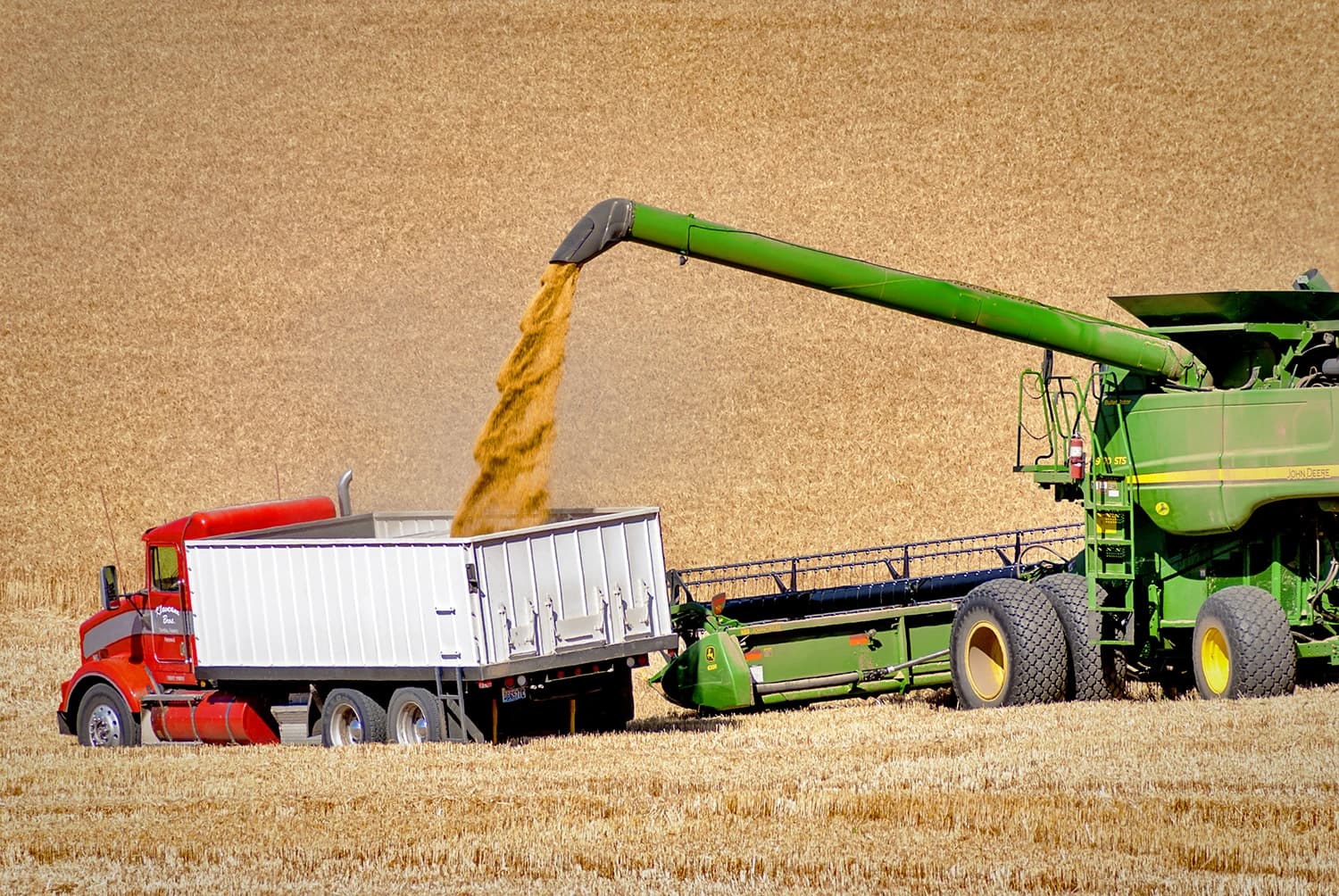 Combine harvester unloads grain into a truck in a field of harvested wheat.