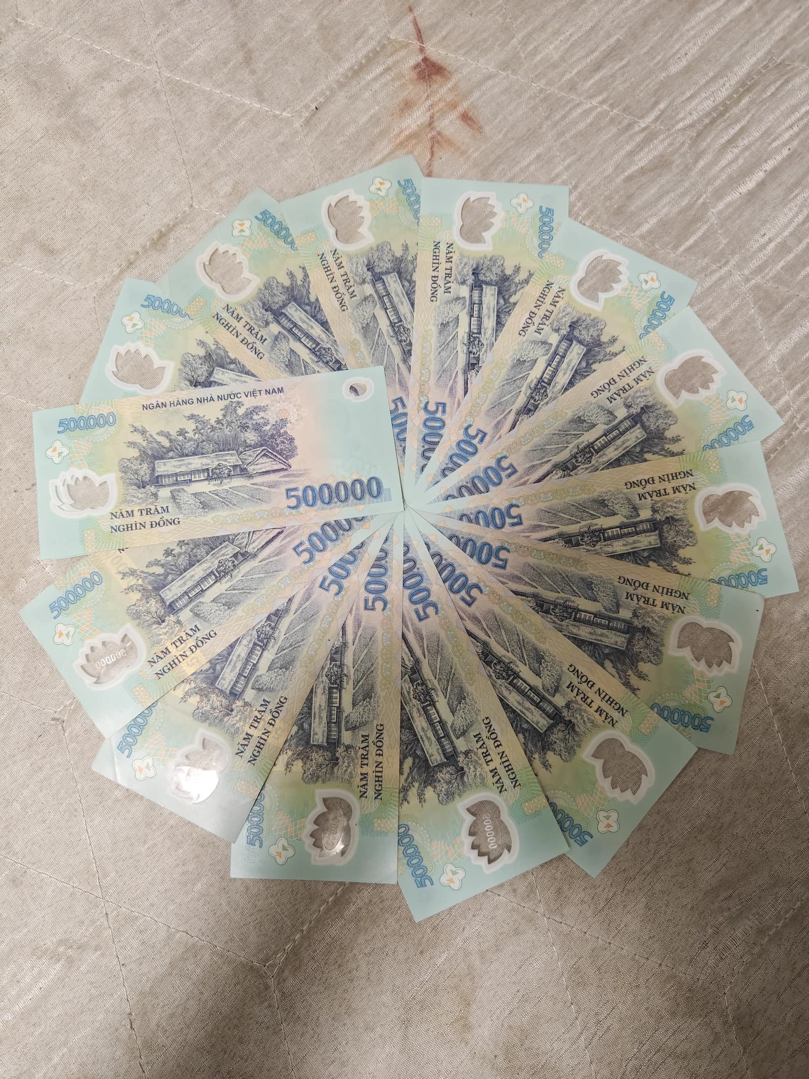 Several 500,000-dong banknotes fanned out on the reverse sides and stacked in a circular arrangement.
