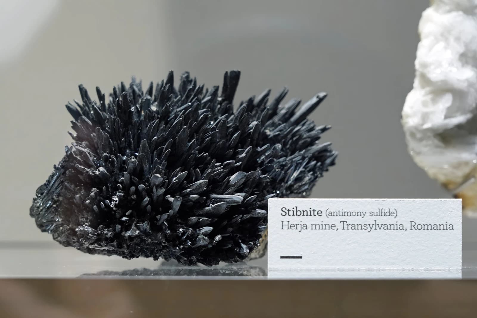 A close-up view of dark, metallic stibnite mineral crystals on display.