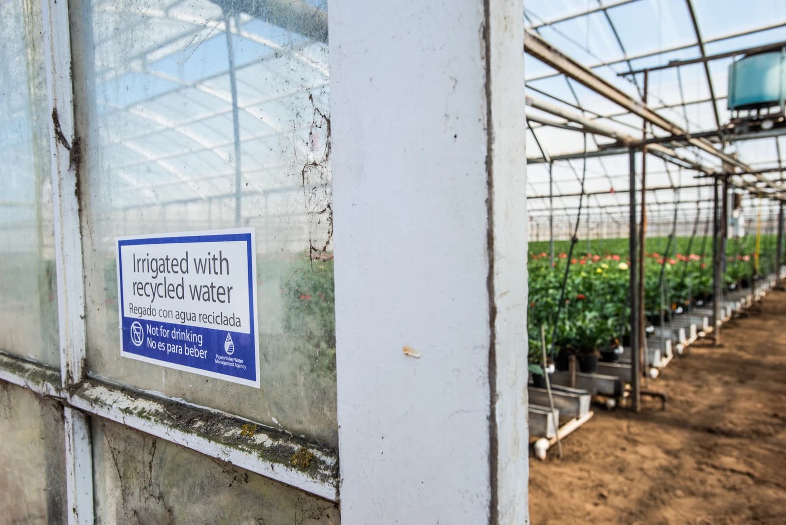 Sign on a greenhouse window states 'Irrigated with recycled water' in English and Spanish.