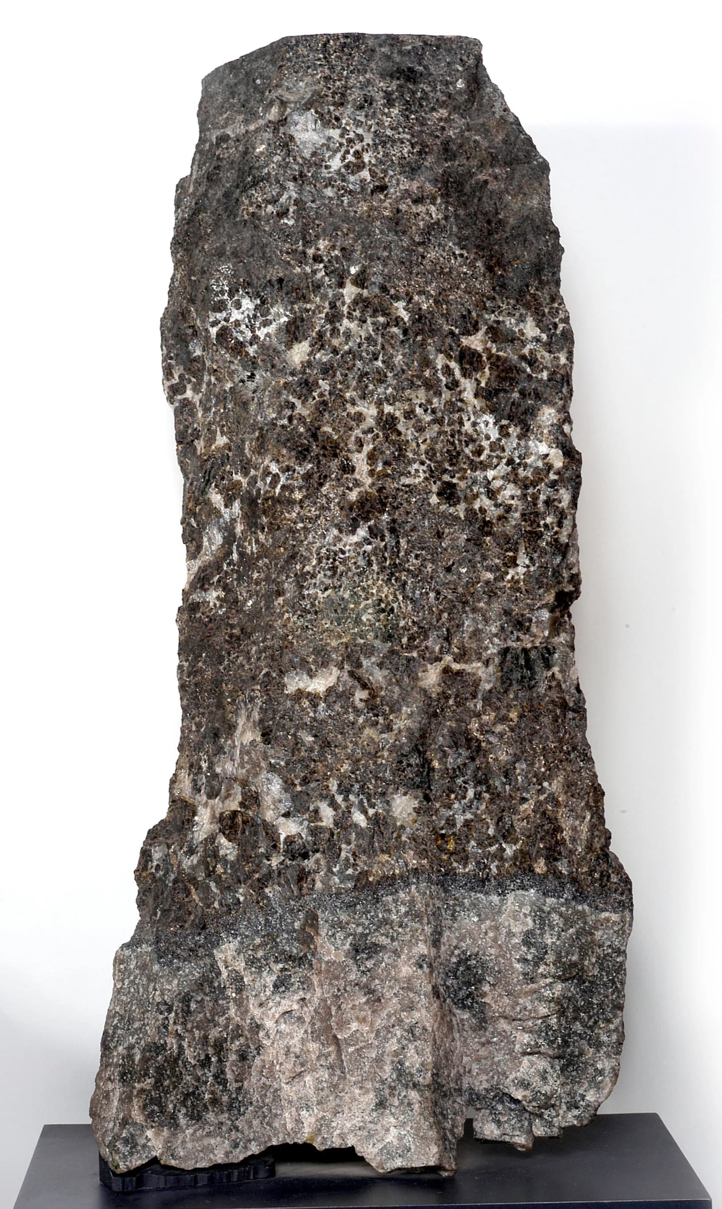 Gabbro rock with platinum ore sample from Merensky Reef.