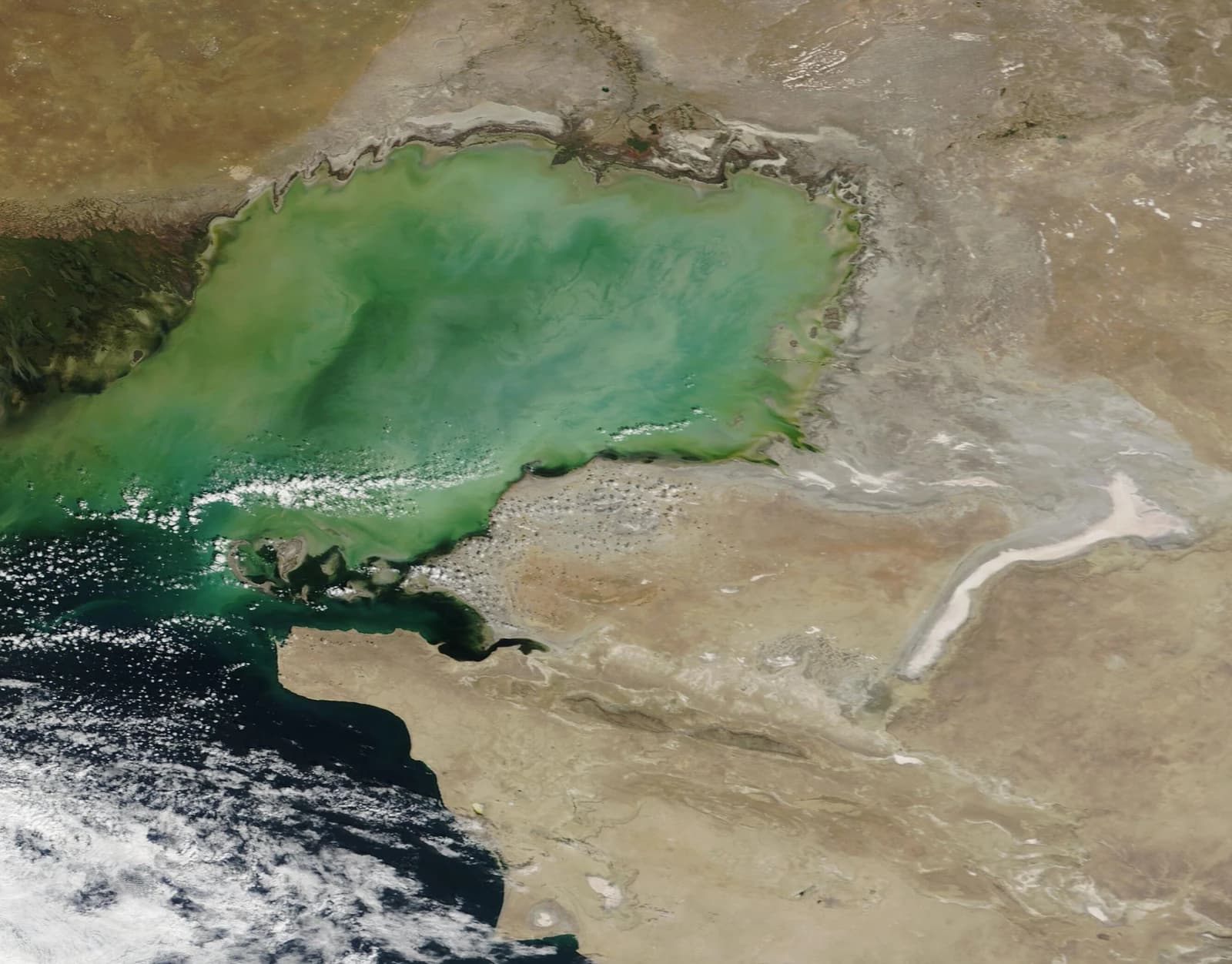Satellite image shows the vivid green waters and changing coastline of the Caspian Sea.
