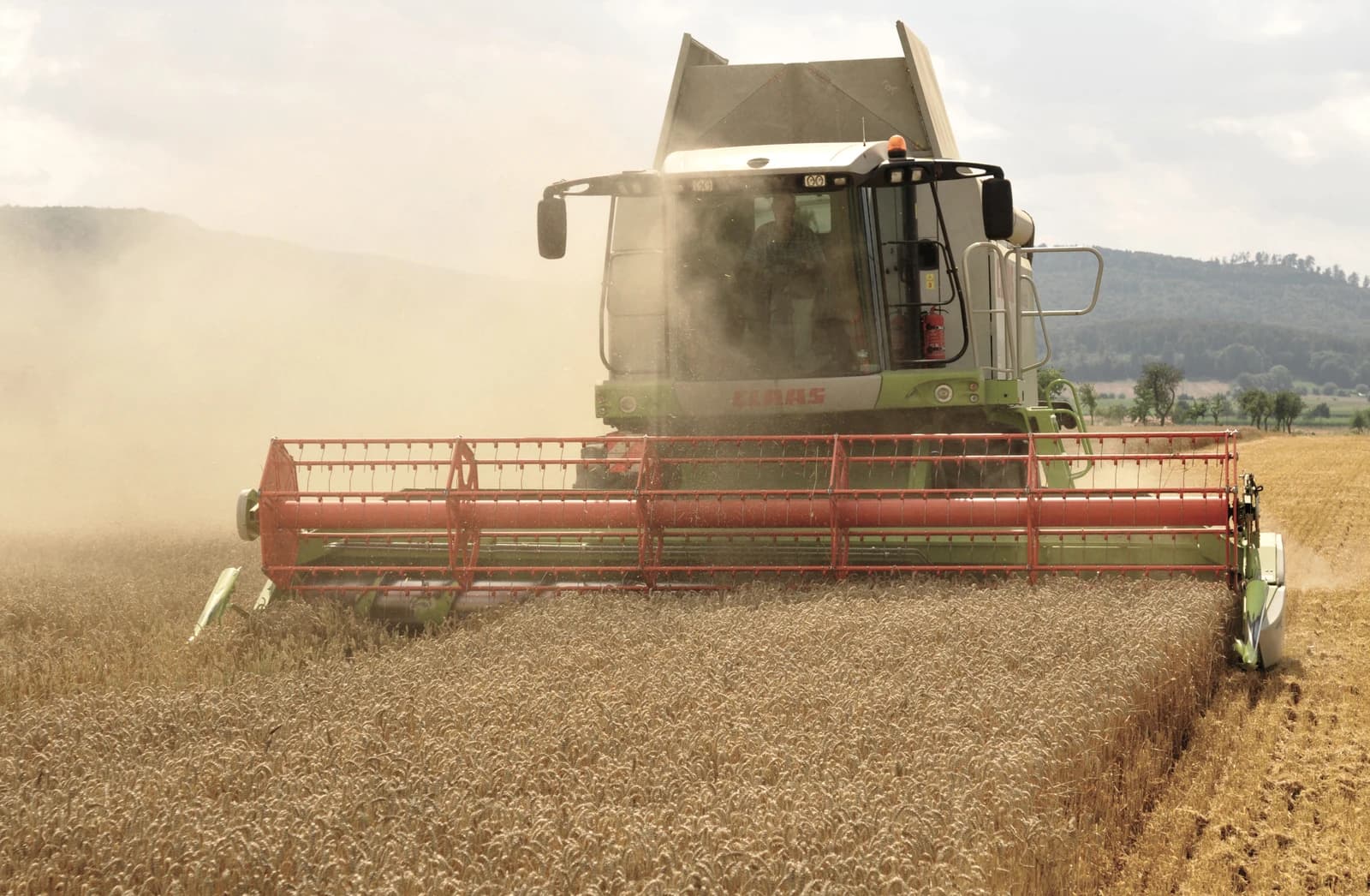 A Claas Lexion 584 combine harvester operates in a field of ripe wheat.