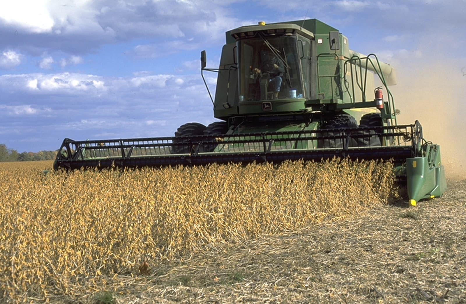 A large green combine harvester harvests soybeans in a field.