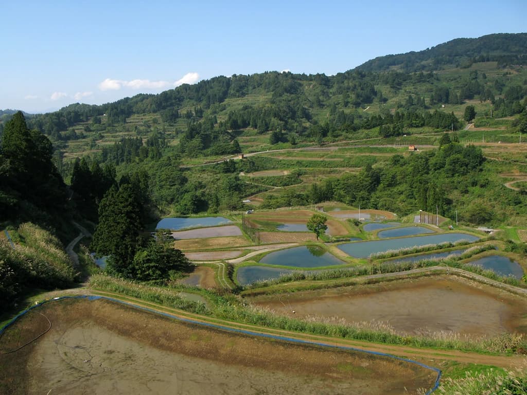 Terraced rice paddies in Yamakoshi, Niigata, Japan, during daytime.