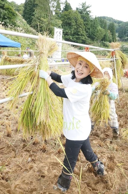 Woman in straw hat smiles while harvesting rice in a muddy field.