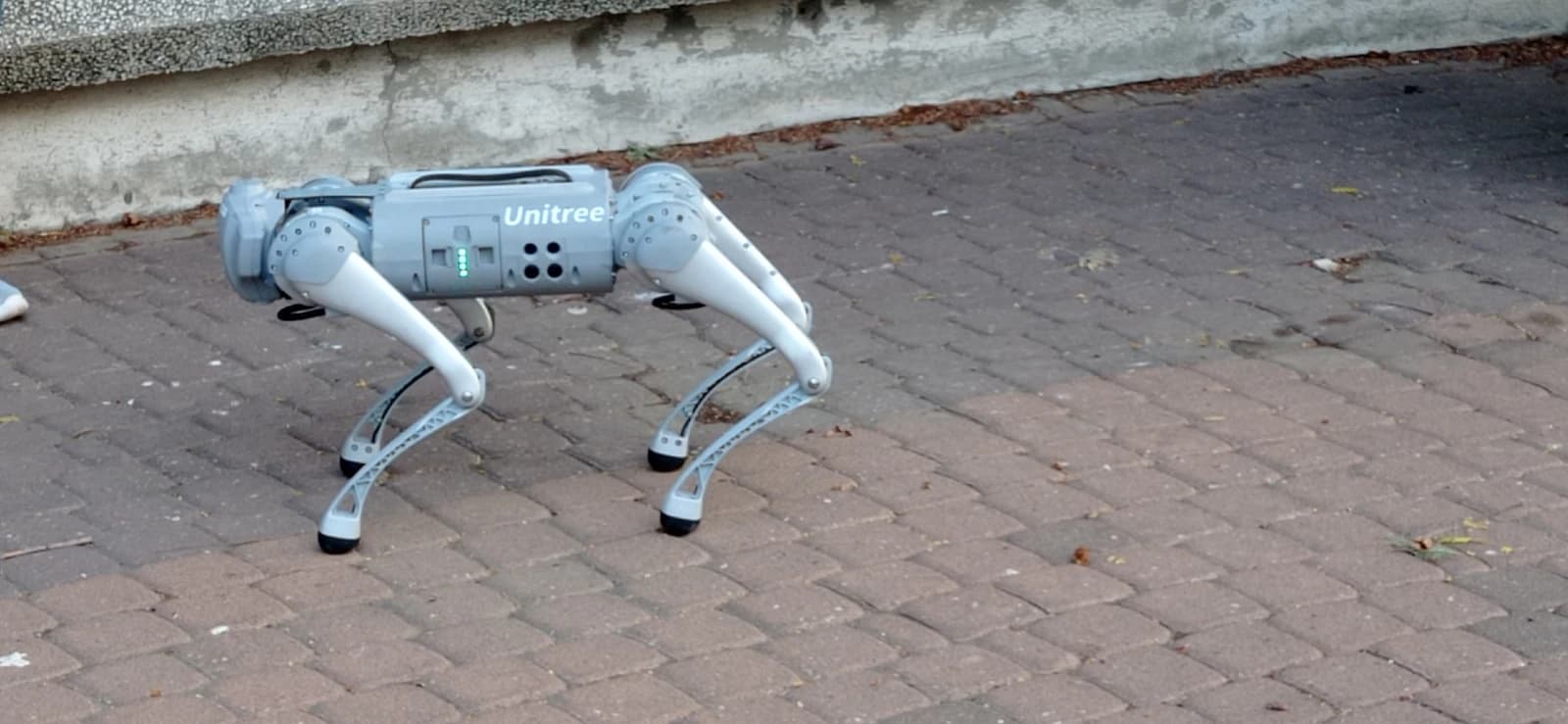 Unitree's robotic guide dog prototype standing on a paved surface outdoors.