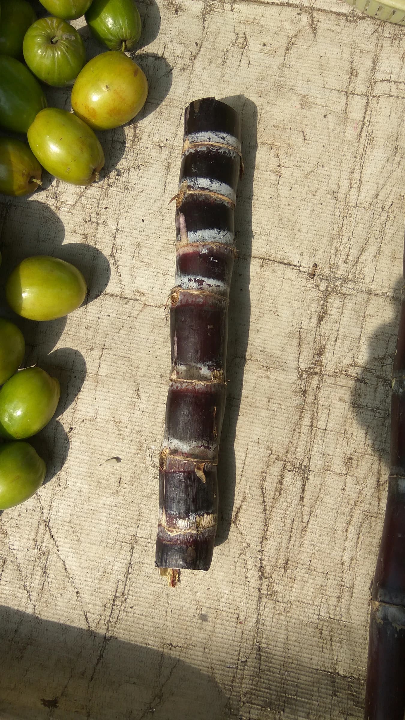Sugarcane stalks on a light-colored surface next to green fruit.