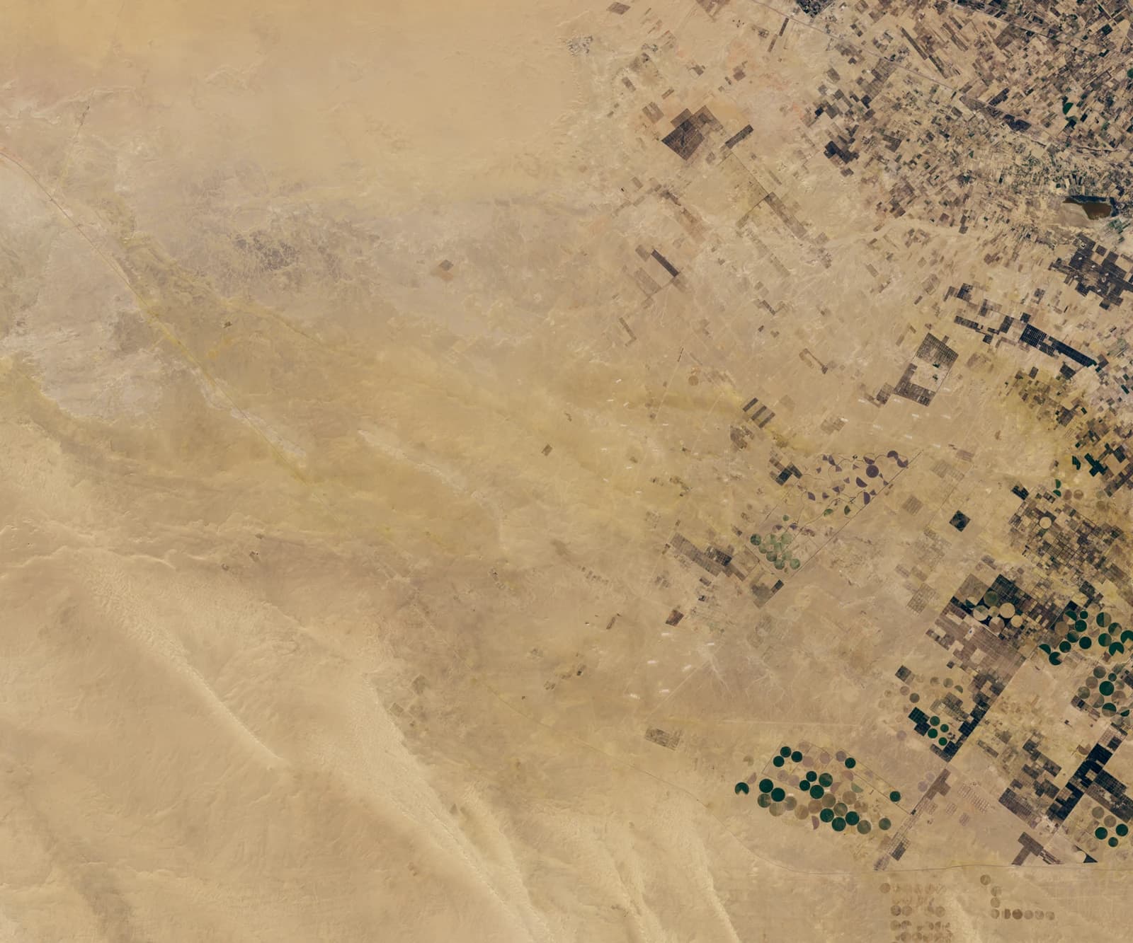 Aerial satellite image showing desert landscape with square and circular agricultural fields.