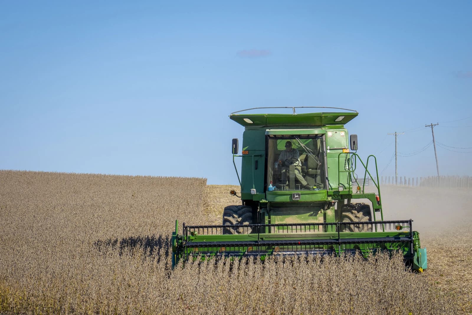 Farmer operating a green combine harvester in a field of dry soybeans.
