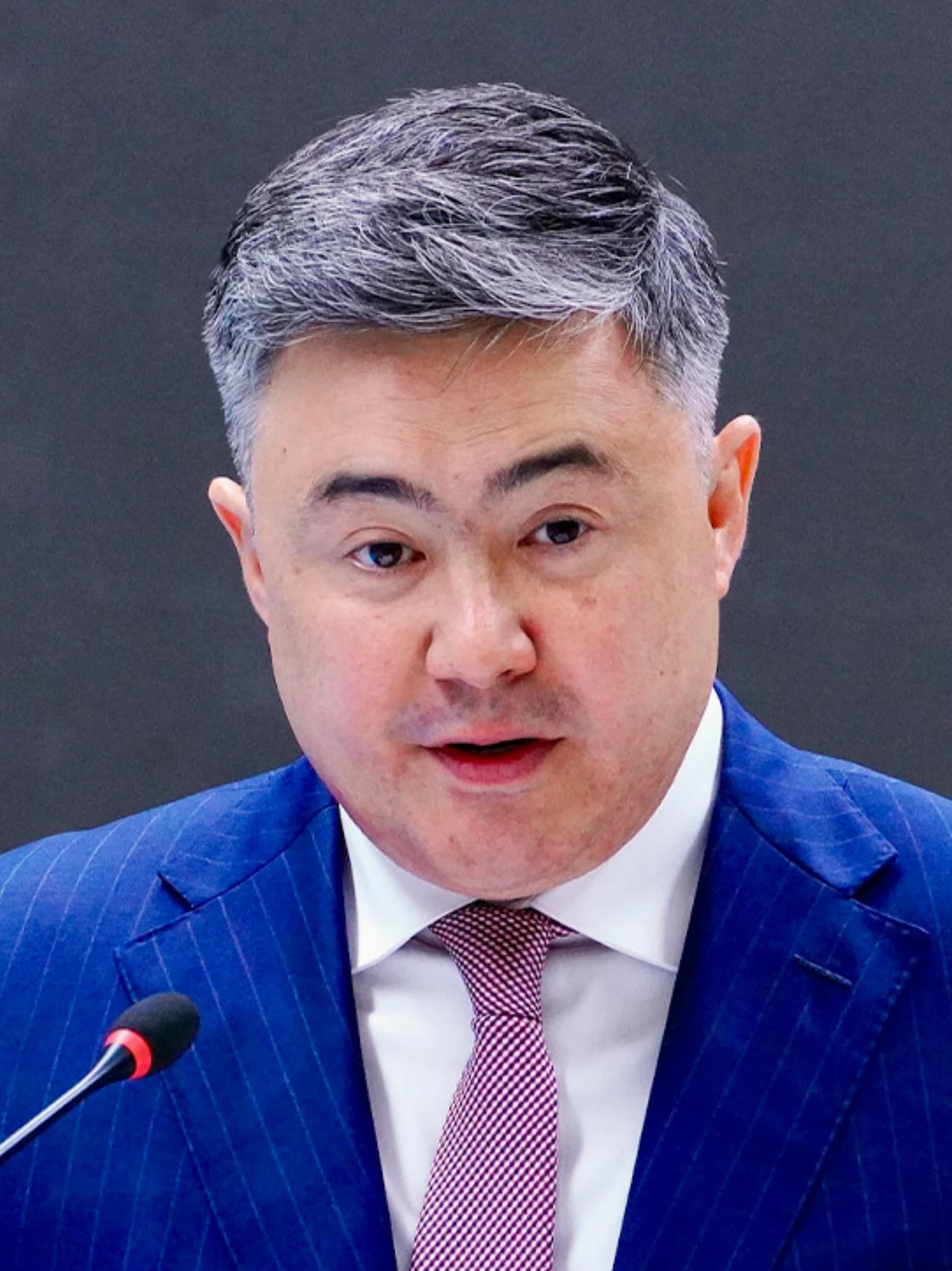 Timur Suleimenov, head of the National Bank of Kazakhstan, speaking into a microphone.