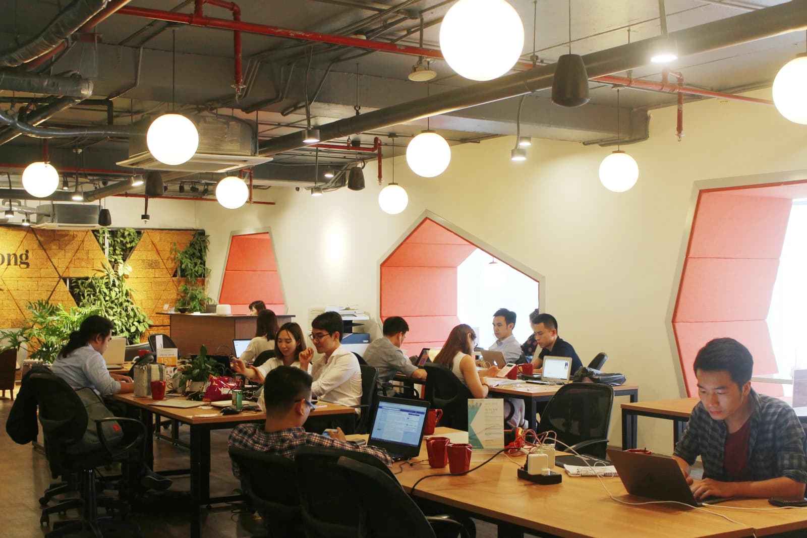 Several people work at individual desks with laptops in a shared coworking office space.