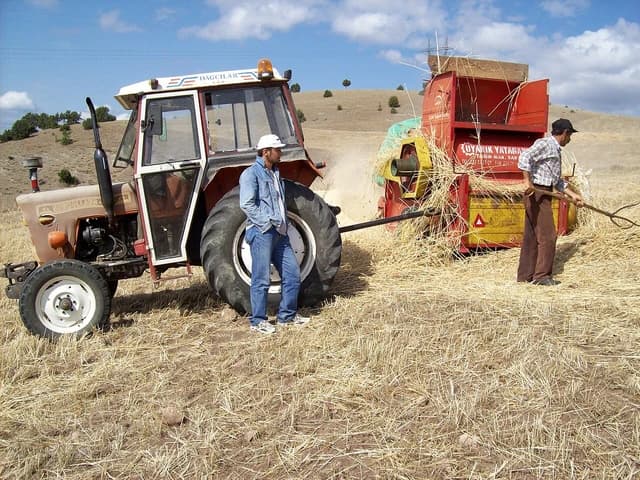 Two farmers harvesting wheat with a tractor and a threshing machine in a field.