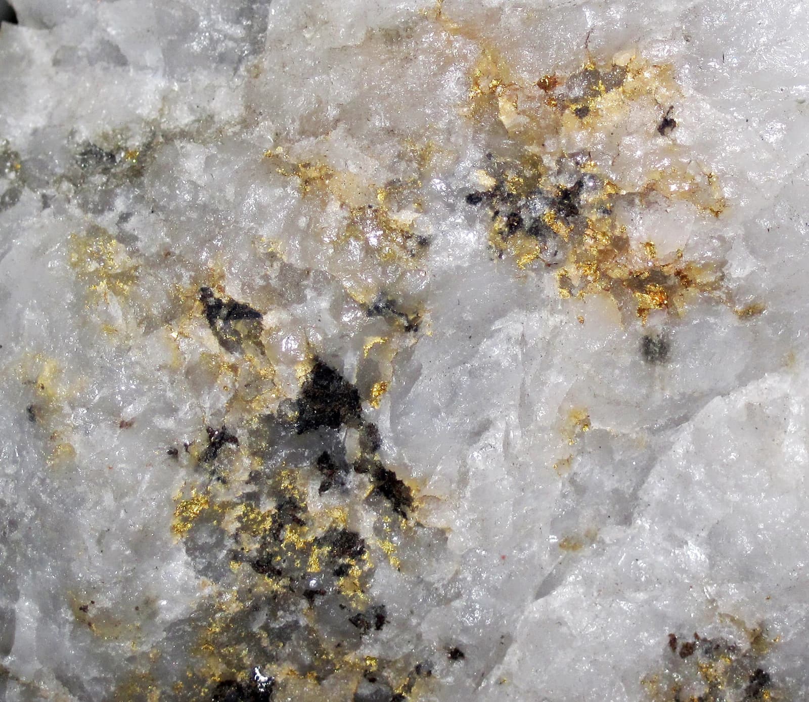 Close-up of gold flecks embedded within white quartz rock.