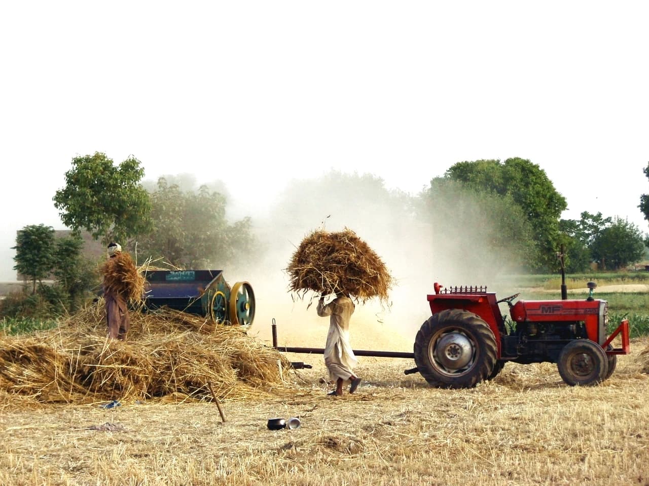 Farmers harvesting crops with a thresher and tractor in Sialkot, Pakistan.