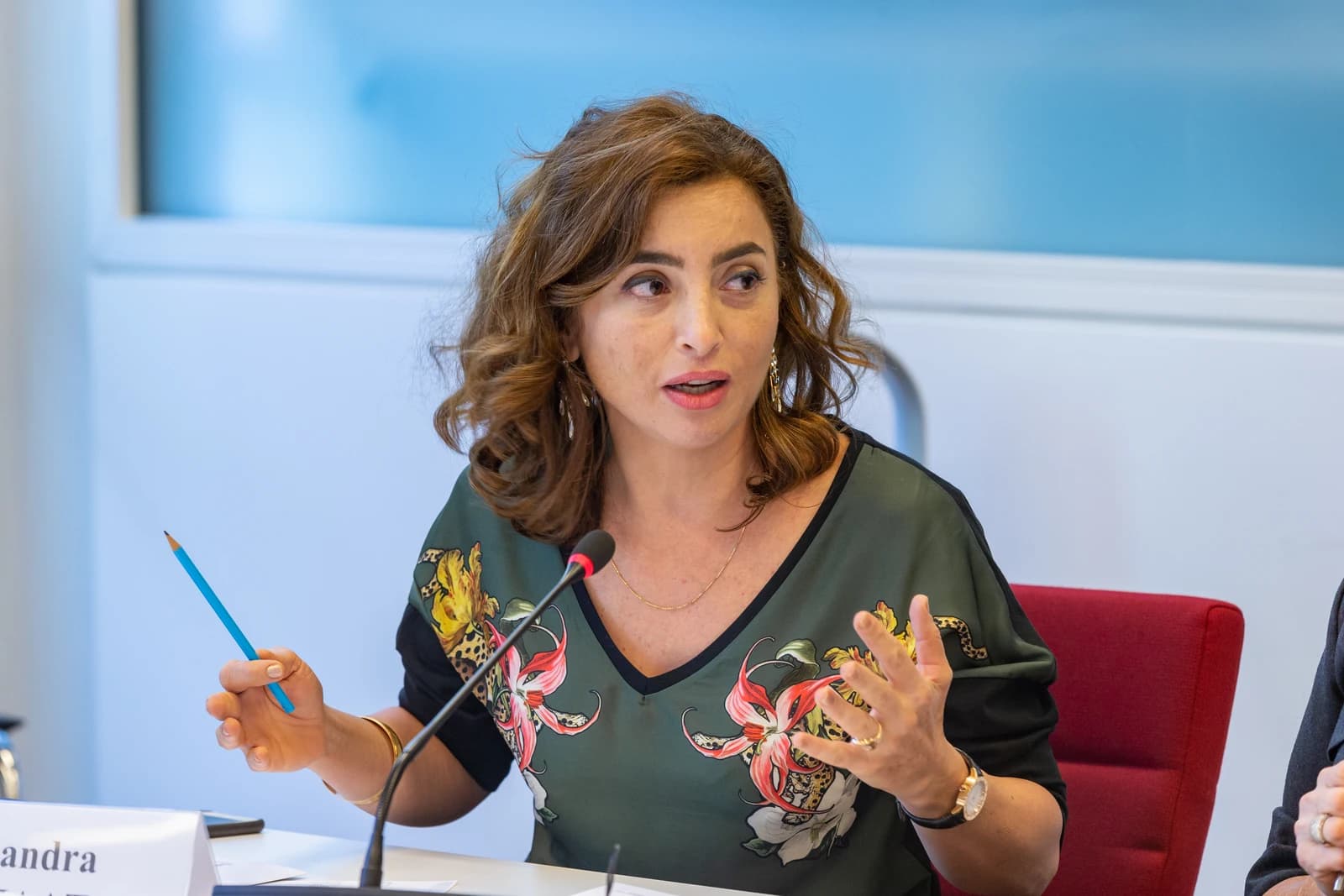 Sandra Nashaat, Egyptian film director, speaking at a panel discussion on creative industries.