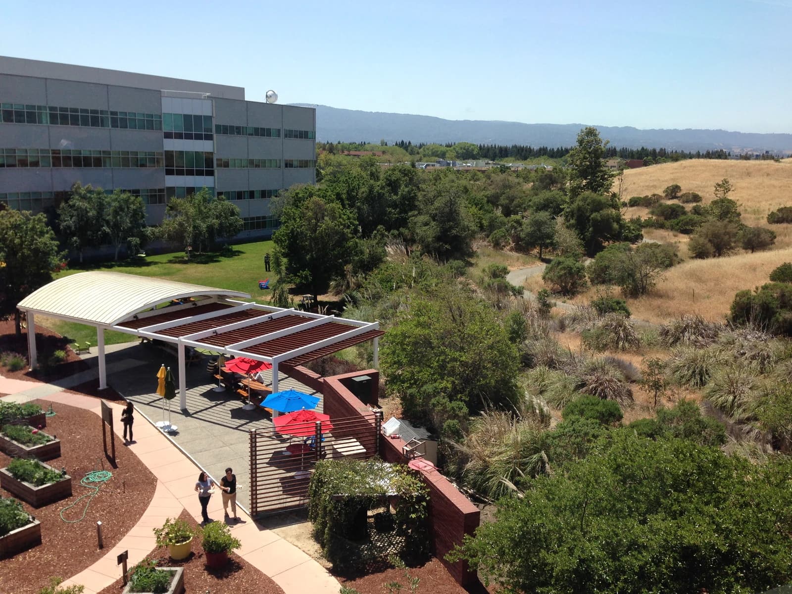 Exterior view of Google office building with outdoor seating and natural landscape.