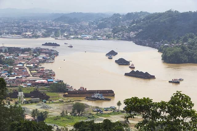 Several barges laden with coal being towed along the wide Mahakam River.