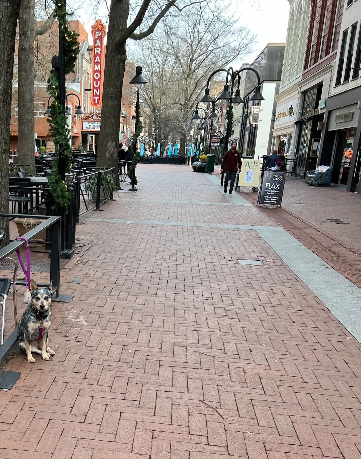 Pedestrian mall in Charlottesville, Virginia, with historic buildings and an old theater.