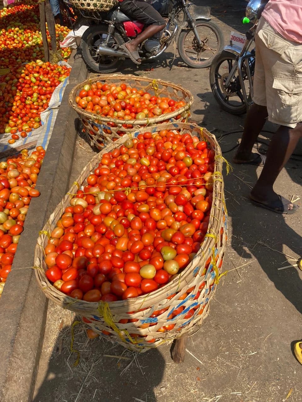 Baskets full of red and green tomatoes at a wholesale market.