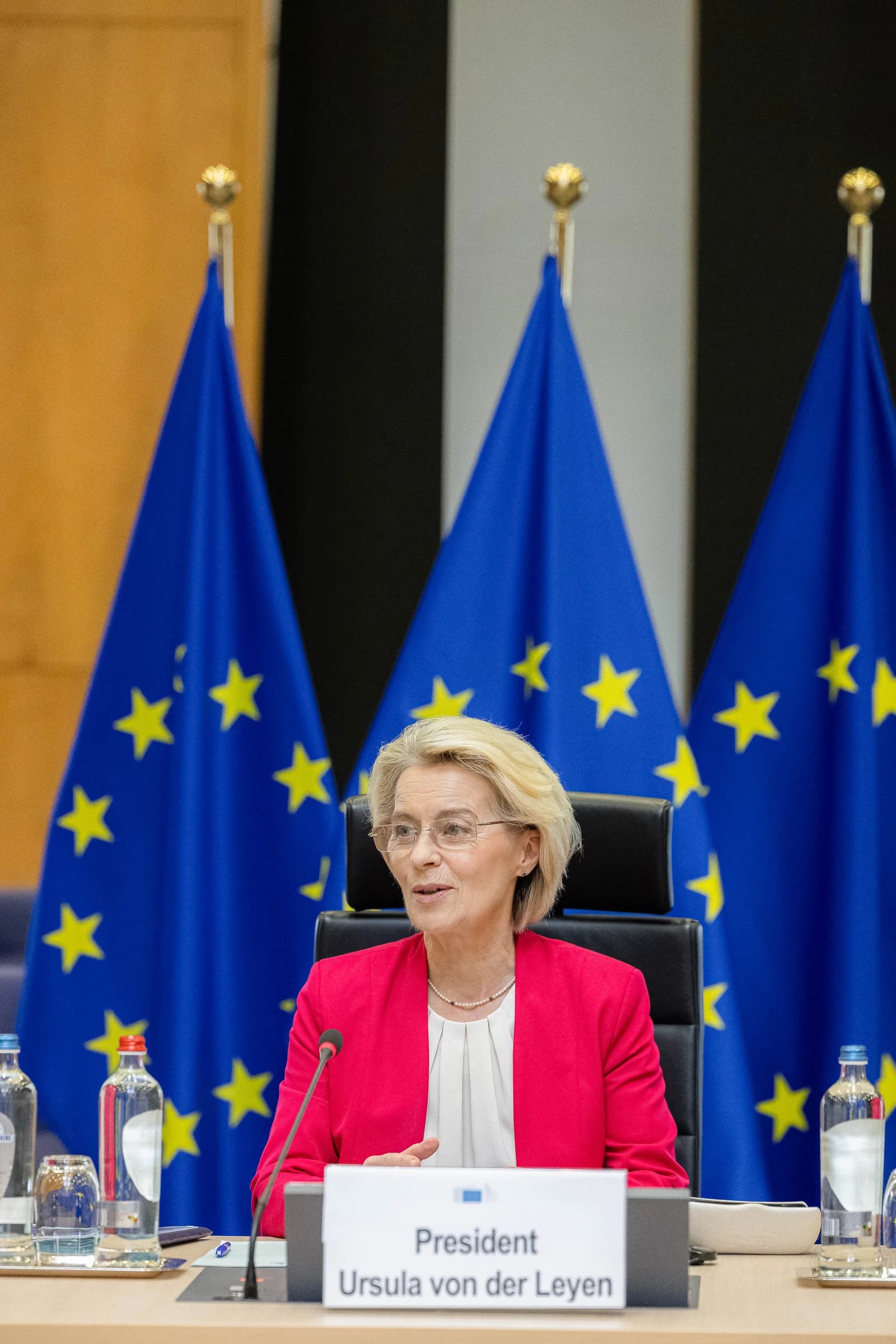 Ursula von der Leyen, President of the European Commission, speaking at a meeting.