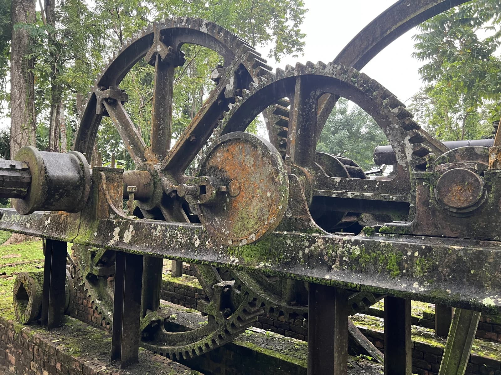 Rusty, moss-covered gears of an old sugar mill crusher.