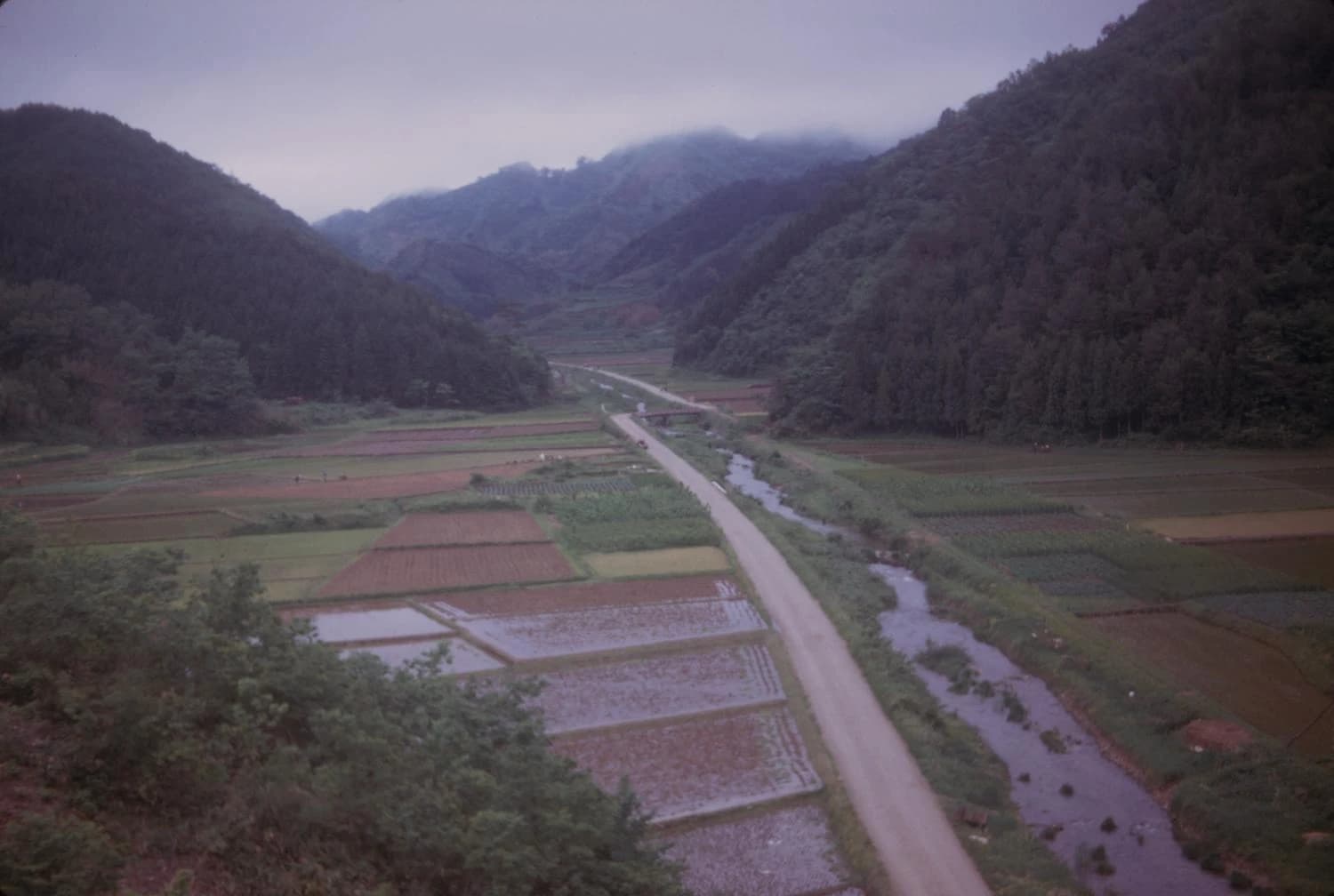 Aerial view of cultivated rice paddies and a road at the base of a mountain valley in Japan.