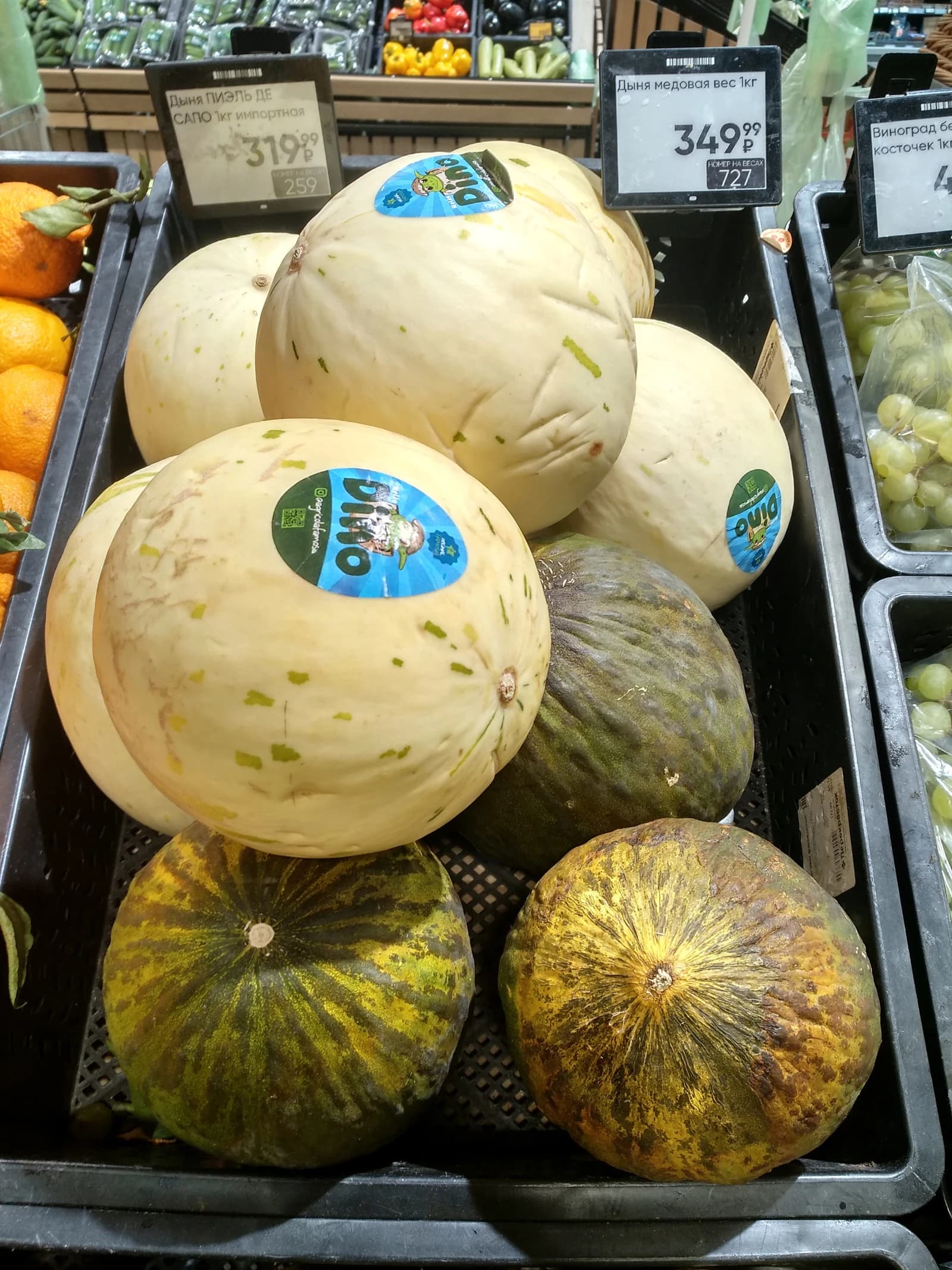 Honeydew melons and other melons with price tags displayed in a grocery store.