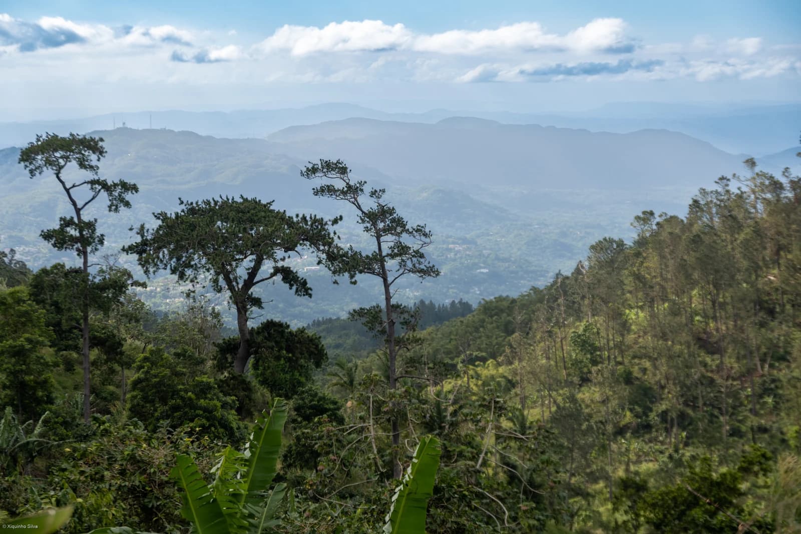 Lush green landscape of the Blue and John Crow Mountains in Jamaica.