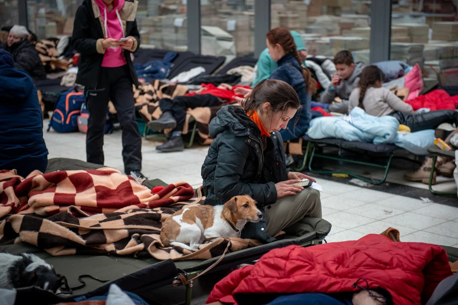 Ukrainian refugees, including a woman with a small dog, resting on temporary cots.