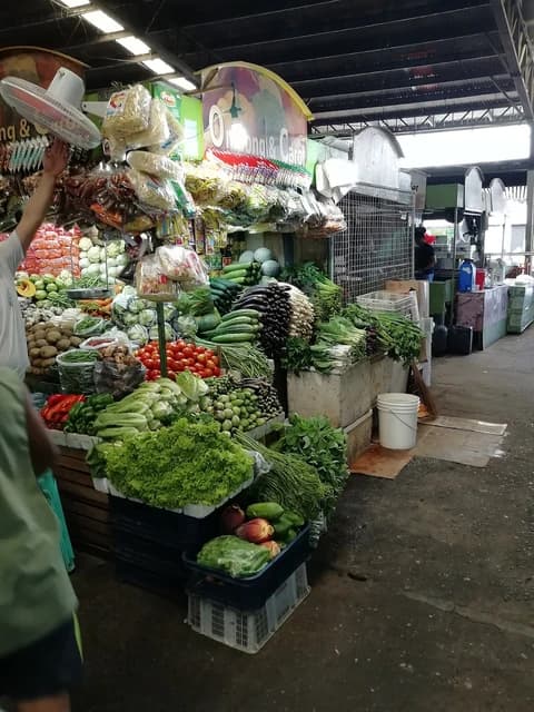Produce vendor arranging fresh vegetables at a market stall in Cubao.