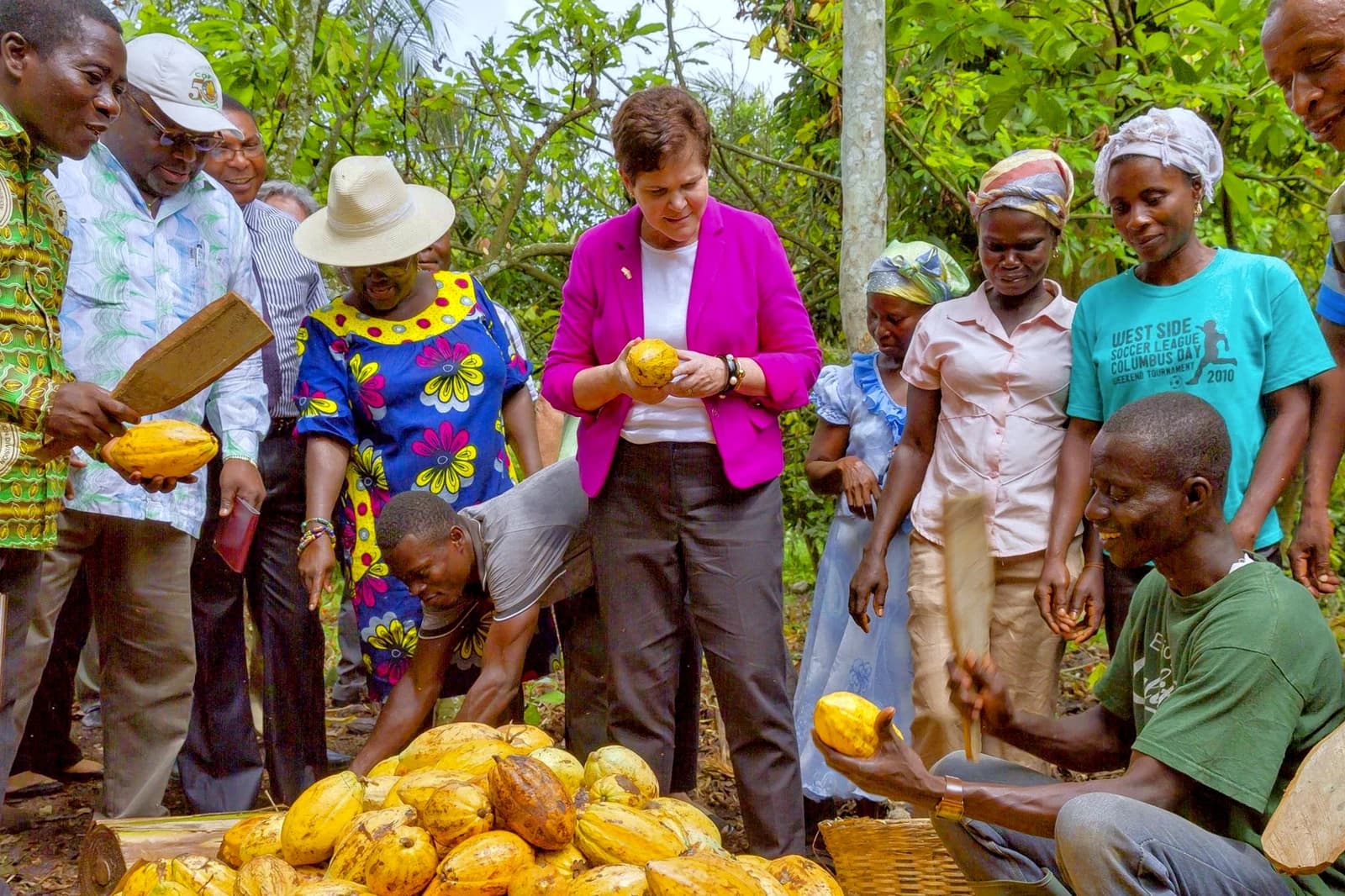 Group of people, including farmers and officials, inspecting harvested cocoa pods in Ghana.