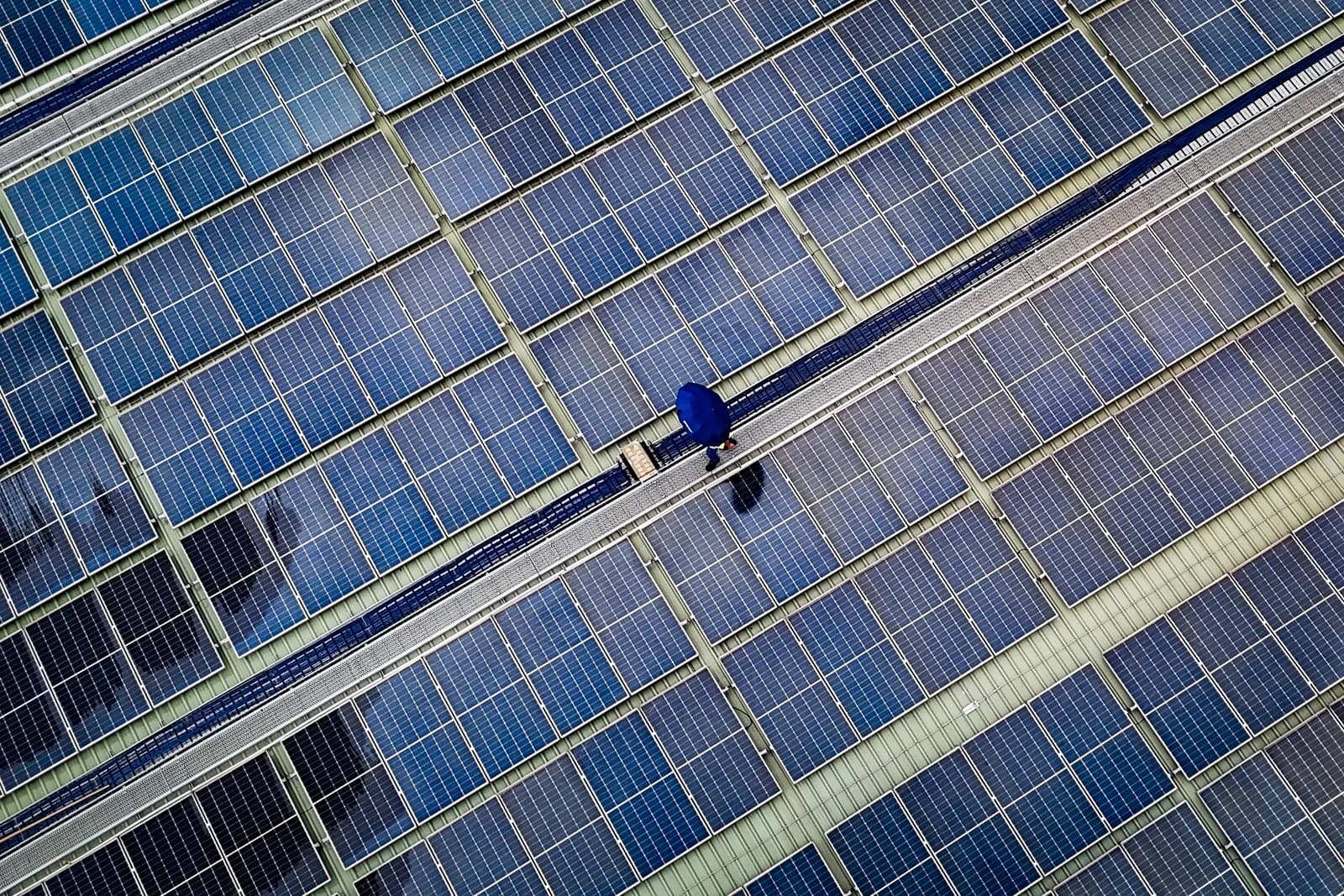 Person in a blue jacket walking on a gantry between rows of solar panels.